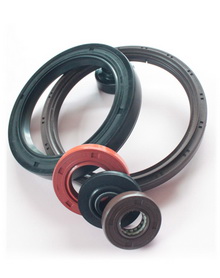 Oil-Seal-1