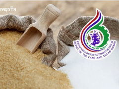 昨晚！阿努廷深夜紧急叫停全国糖价上涨3泰铢